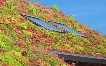 Melbury Abbas living roof systems